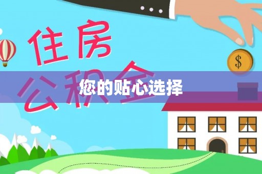 龙沙您的贴心选择