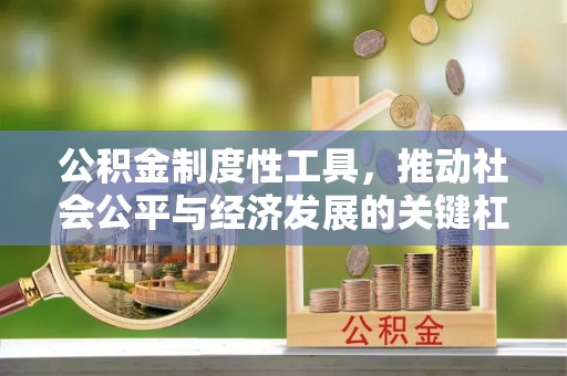 龙沙公积金制度性工具，推动社会公平与经济发展的关键杠杆