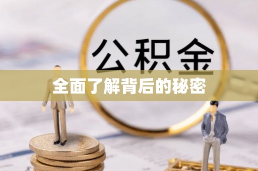 龙沙全面了解背后的秘密