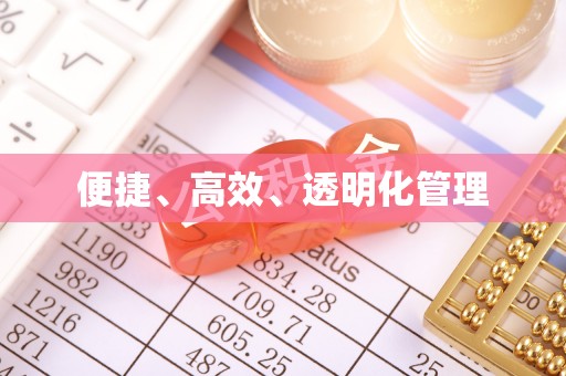 龙沙便捷、高效、透明化管理