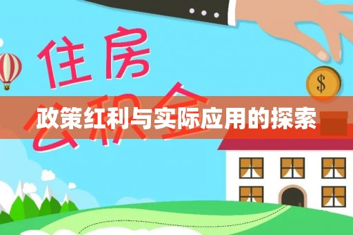 龙沙政策红利与实际应用的探索