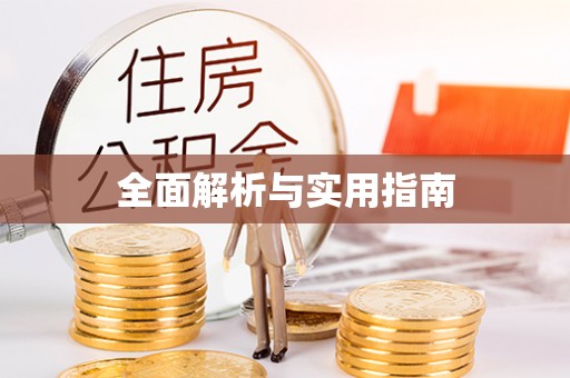 龙沙全面解析与实用指南