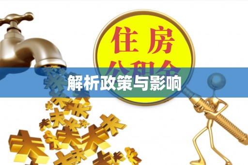 龙沙解析政策与影响