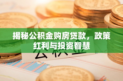 龙沙揭秘公积金购房贷款，政策红利与投资智慧