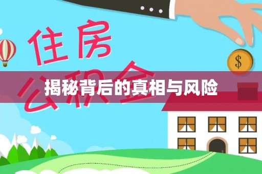 龙沙揭秘背后的真相与风险