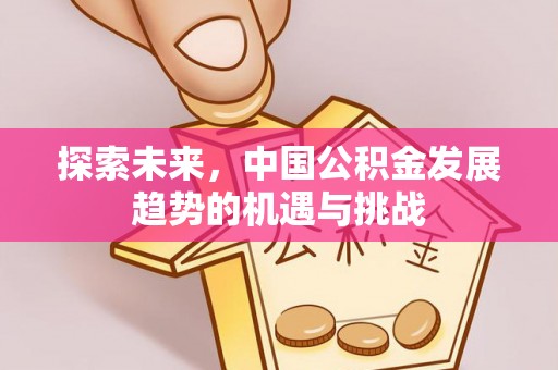 龙沙探索未来，中国公积金发展趋势的机遇与挑战