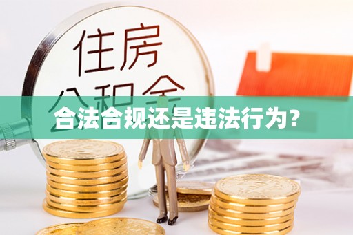 龙沙合法合规还是违法行为？