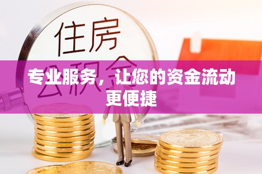 龙沙专业服务，让您的资金流动更便捷
