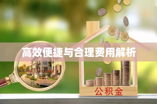 龙沙高效便捷与合理费用解析