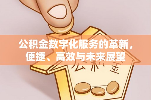 龙沙公积金数字化服务的革新，便捷、高效与未来展望