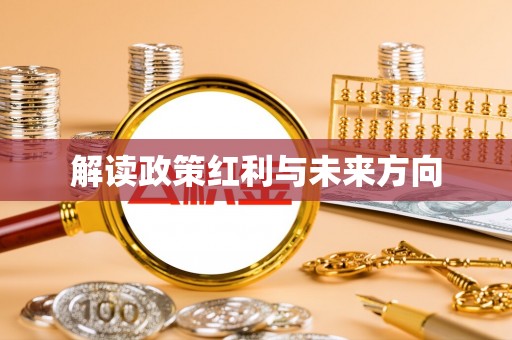 龙沙解读政策红利与未来方向