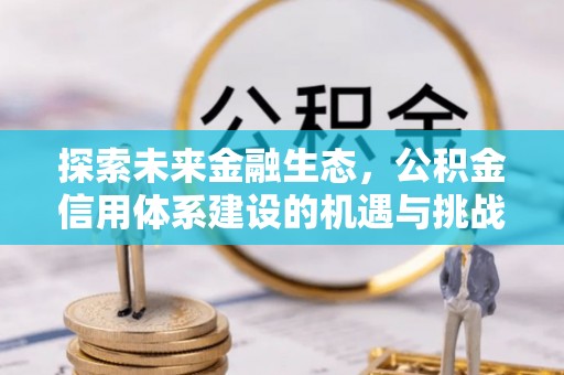 龙沙探索未来金融生态，公积金信用体系建设的机遇与挑战