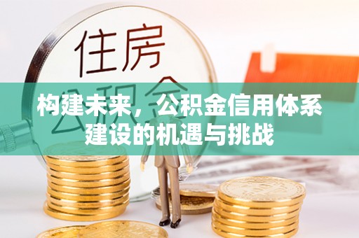 龙沙构建未来，公积金信用体系建设的机遇与挑战