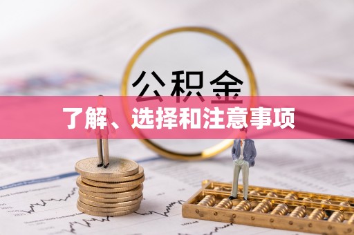 龙沙了解、选择和注意事项