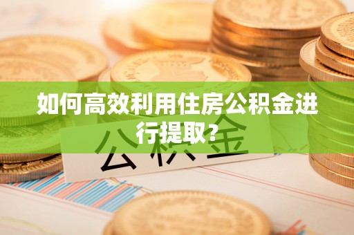 龙沙如何高效利用住房公积金进行提取？