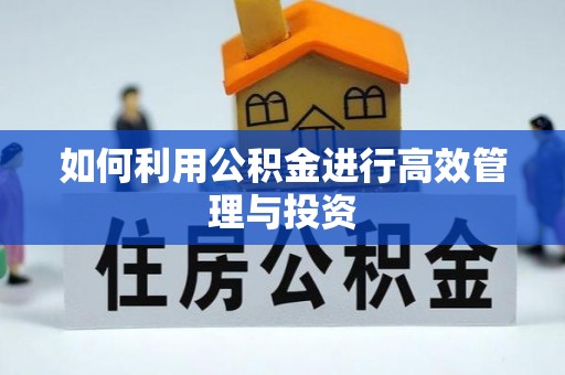 龙沙如何利用公积金进行高效管理与投资