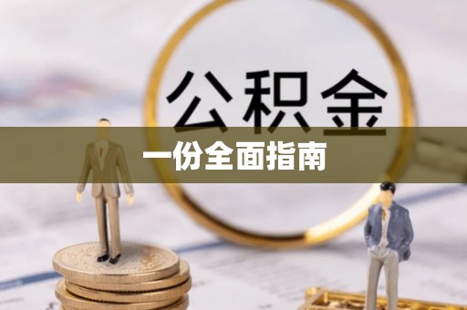 龙沙一份全面指南