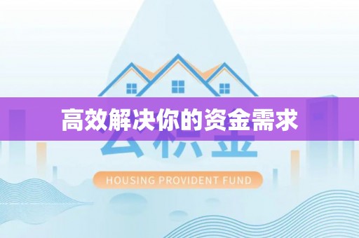 龙沙高效解决你的资金需求