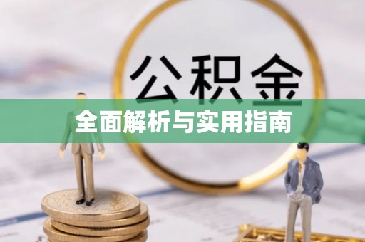 龙沙全面解析与实用指南