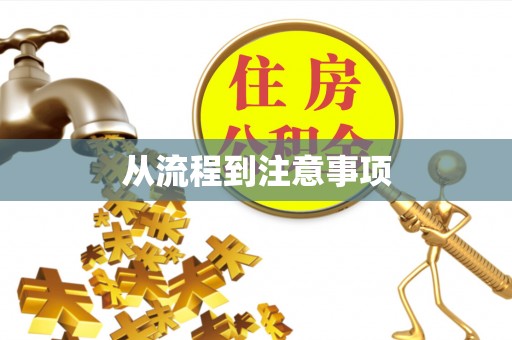 龙沙从流程到注意事项