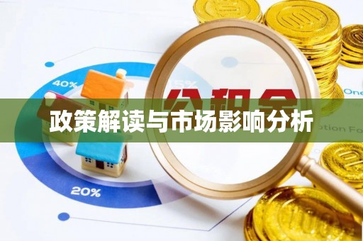 龙沙政策解读与市场影响分析