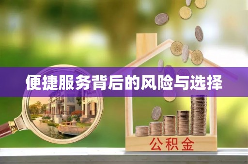 龙沙便捷服务背后的风险与选择