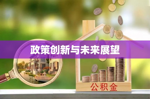 龙沙政策创新与未来展望