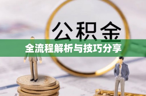 龙沙全流程解析与技巧分享