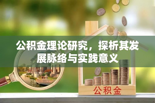 龙沙公积金理论研究，探析其发展脉络与实践意义