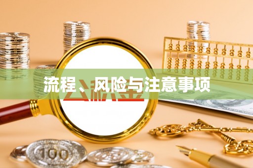 龙沙流程、风险与注意事项