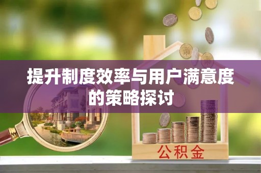 龙沙提升制度效率与用户满意度的策略探讨