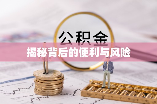 龙沙揭秘背后的便利与风险