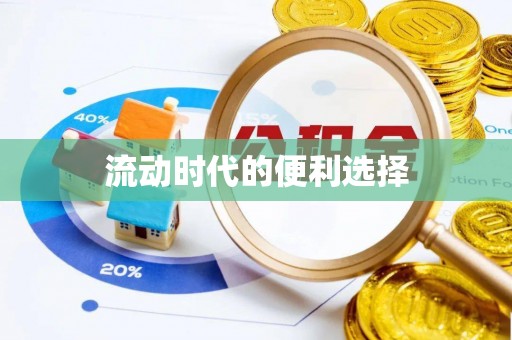 龙沙流动时代的便利选择