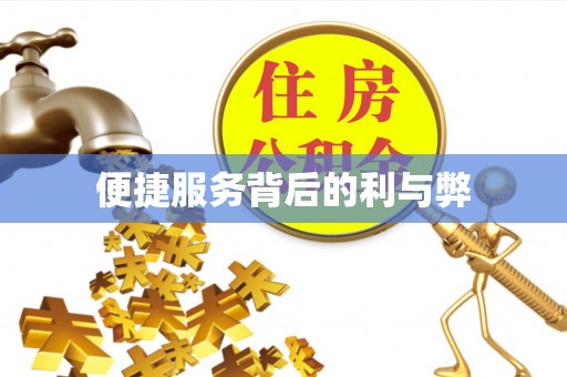 龙沙便捷服务背后的利与弊