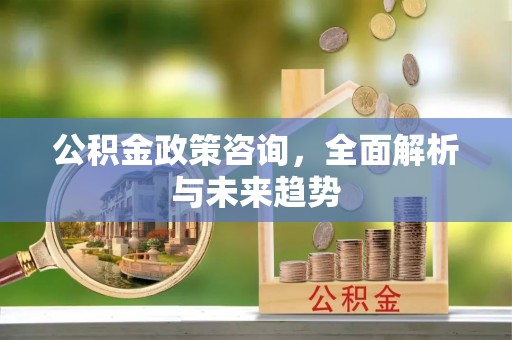 龙沙公积金政策咨询，全面解析与未来趋势