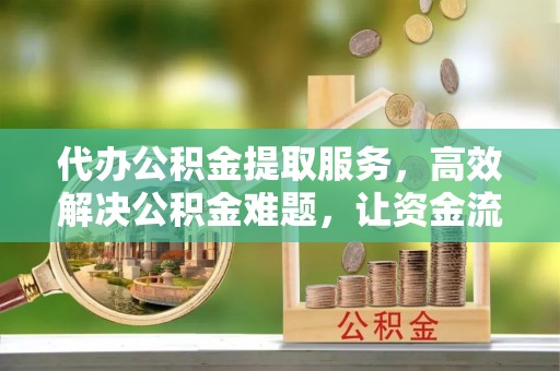 龙沙代办公积金提取服务，高效解决公积金难题，让资金流动更灵活