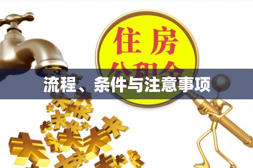 龙沙流程、条件与注意事项