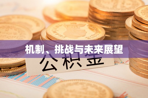 龙沙机制、挑战与未来展望